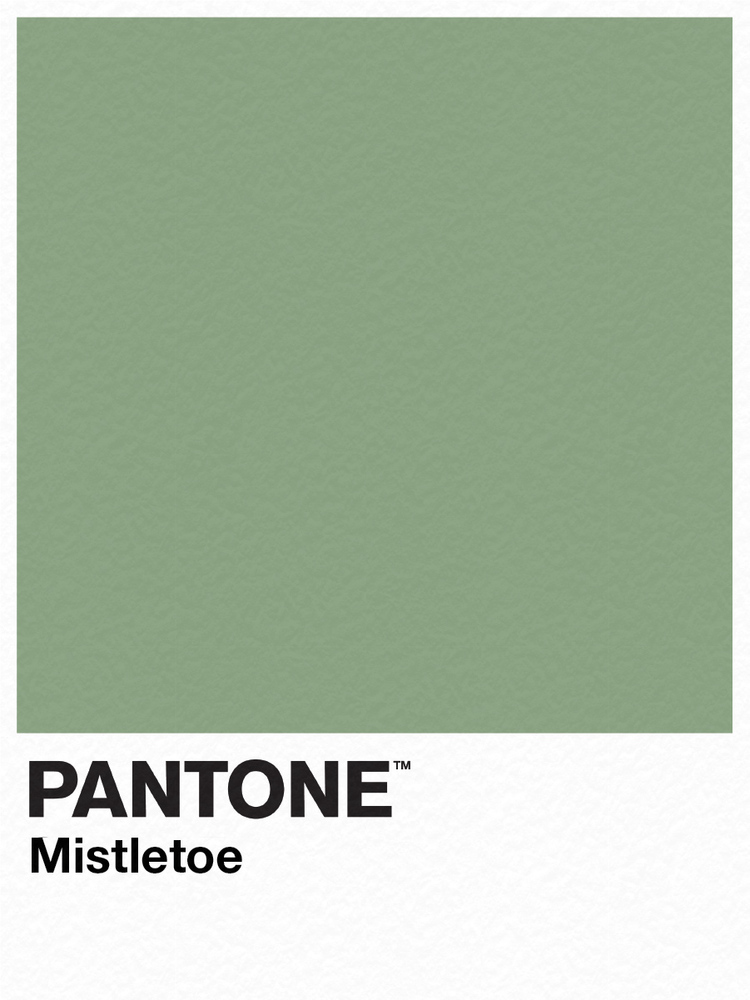 Mistletoe